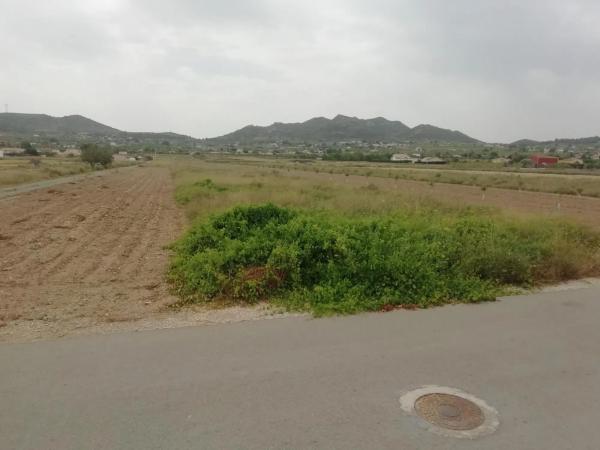 Terreno en Hondón de los Frailes photo 3