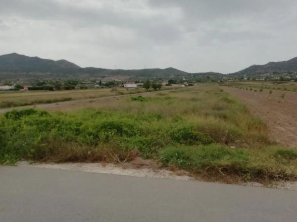 Terreno en Hondón de los Frailes photo 4