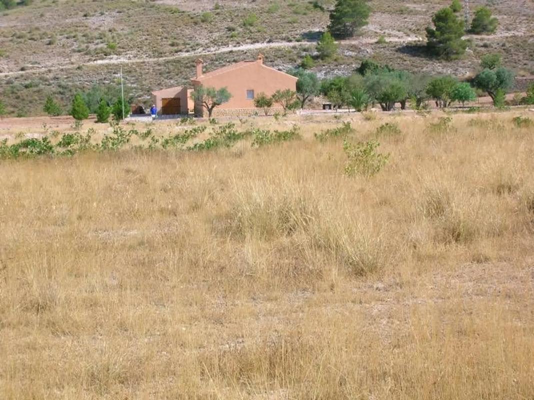 Land for sale in Hondón de las Nieves, Alicante photo 1