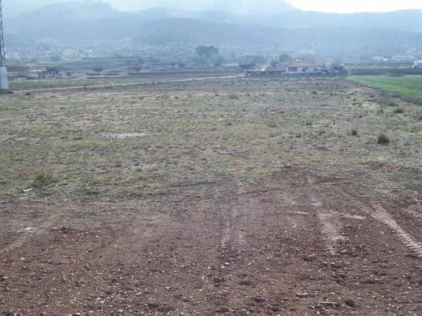 Terreno en Hondón de los Frailes photo 1