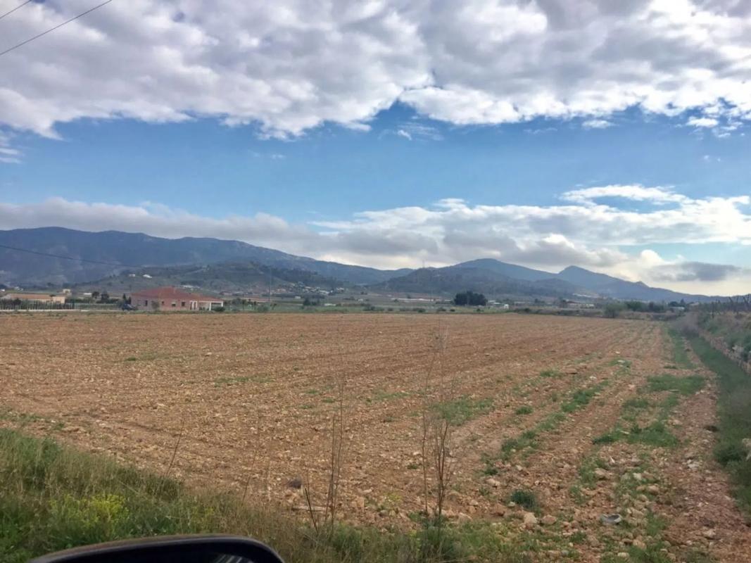 Land for sale in Hondón de las Nieves, Alicante photo 2