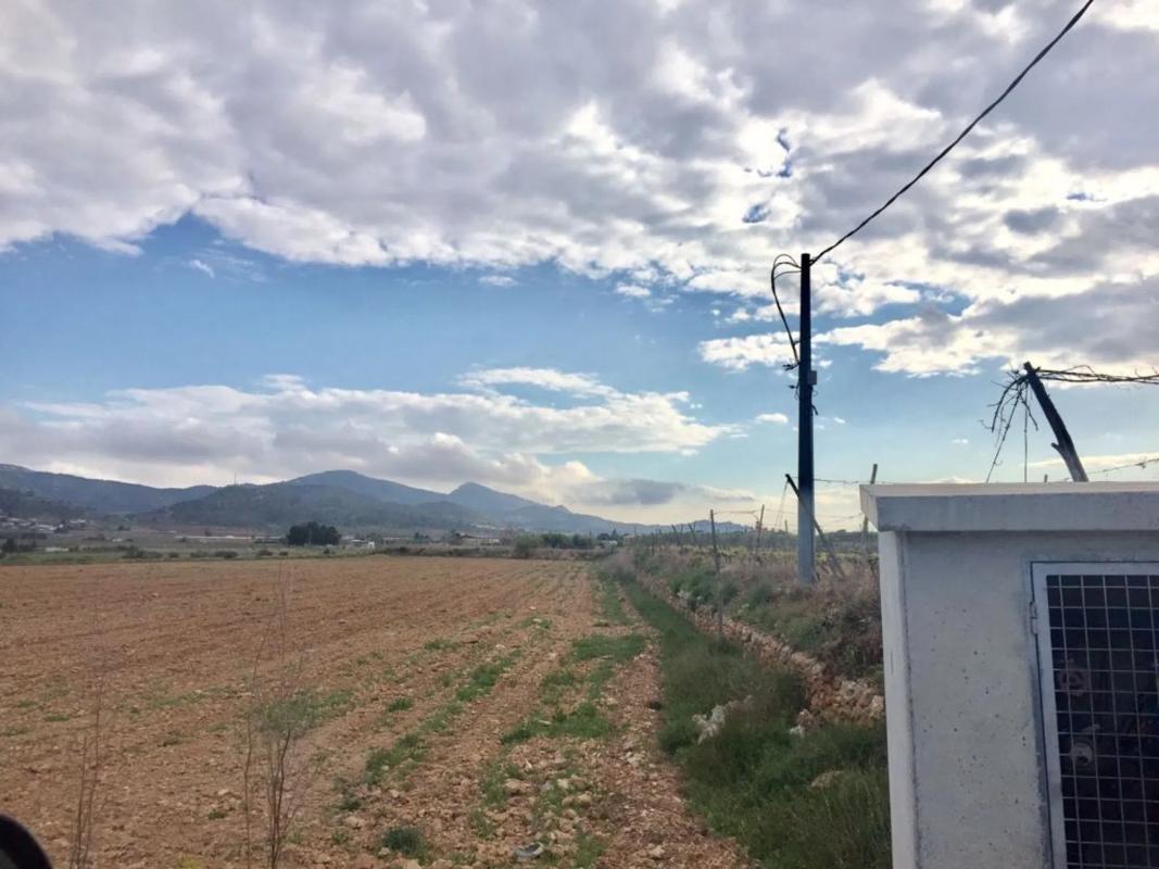 Land for sale in Hondón de las Nieves, Alicante photo 3
