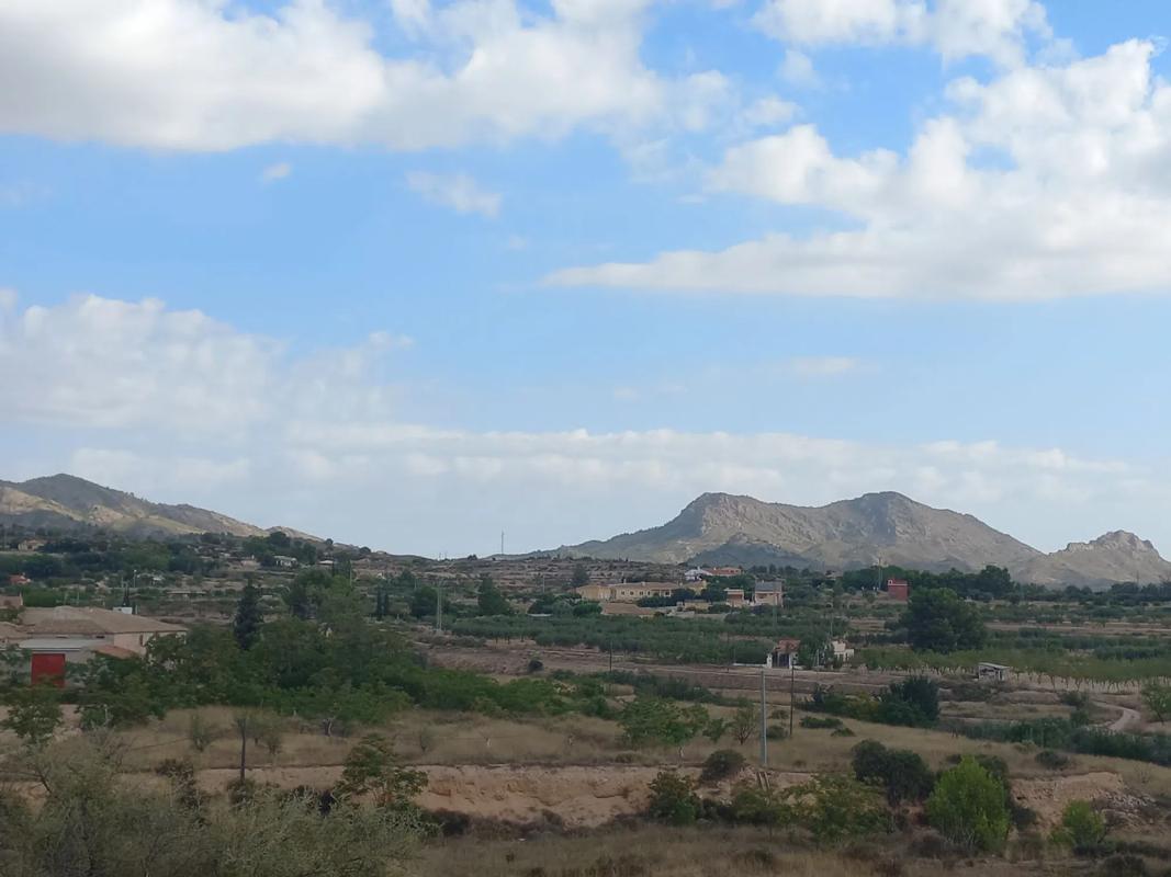 Terreno en venta en Monovar, Alicante photo 5
