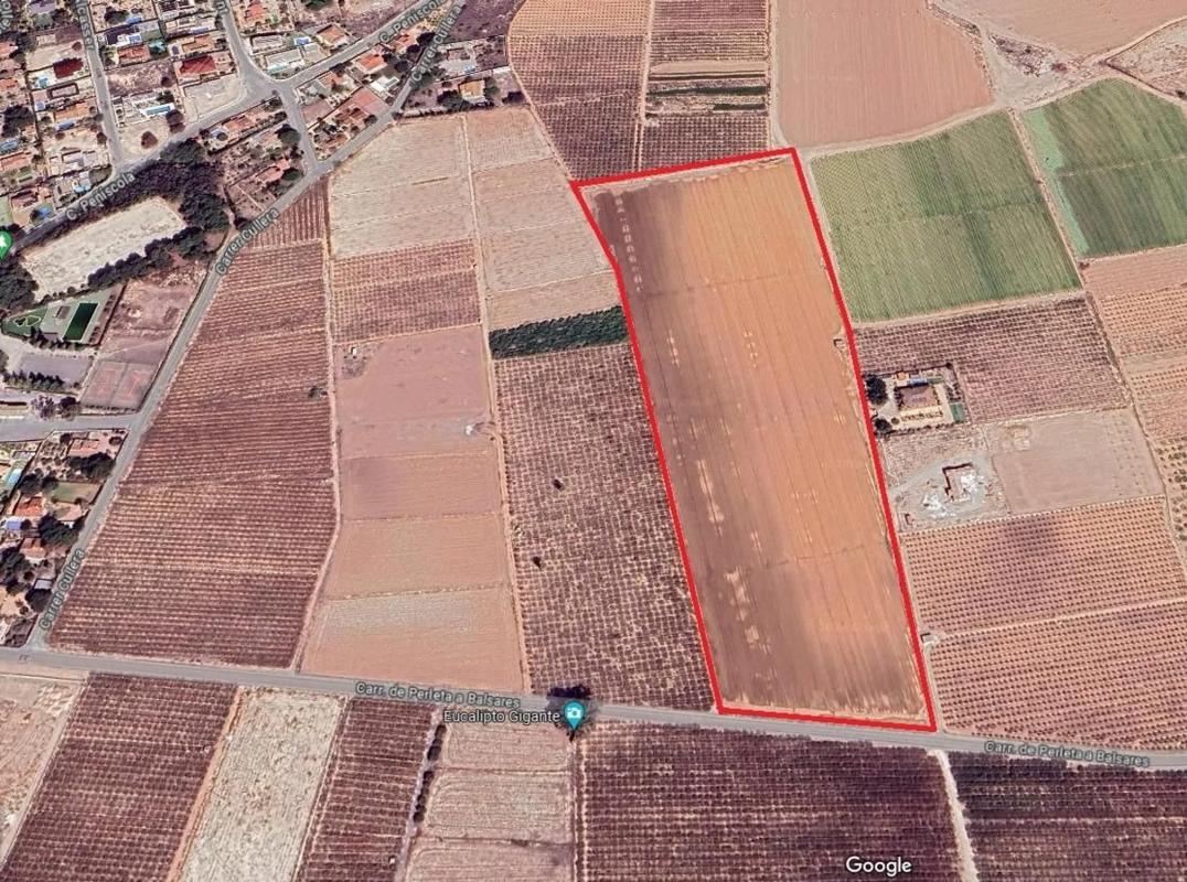 Land for sale in Elche / Elx, Alicante photo 1