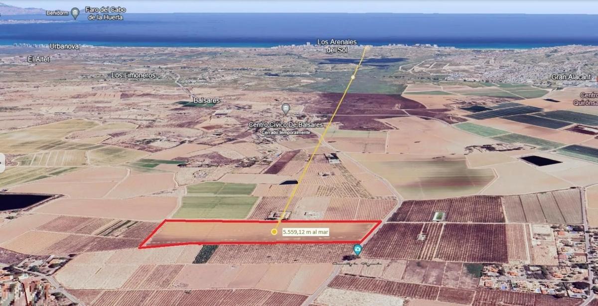 Land for sale in Elche / Elx, Alicante photo 2