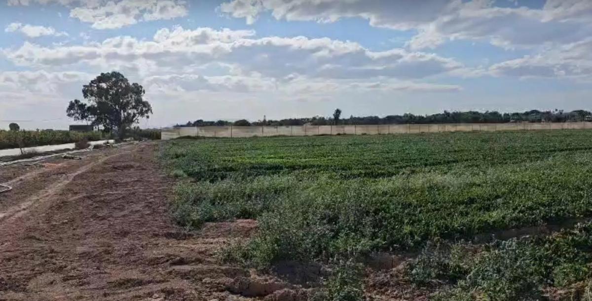 Land for sale in Elche / Elx, Alicante photo 3