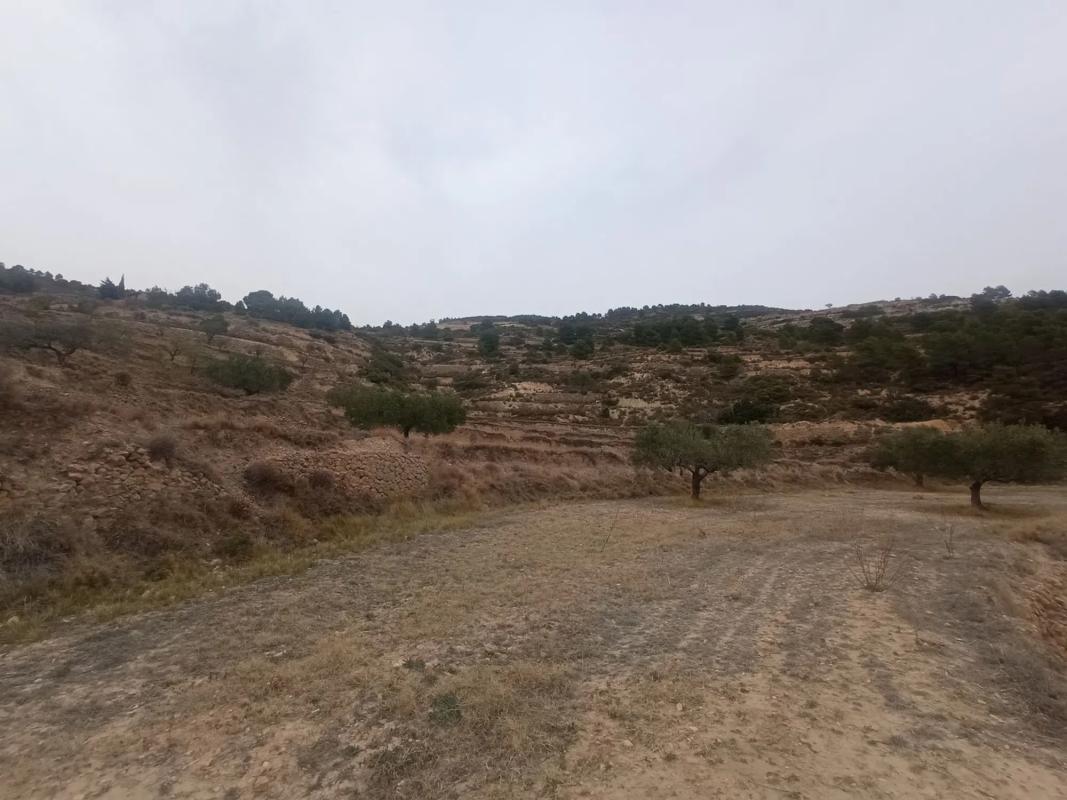 Terreno en venta en Jijona / Xixona, Alicante photo 3