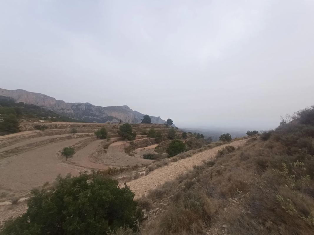 Terreno en venta en Jijona / Xixona, Alicante photo 4