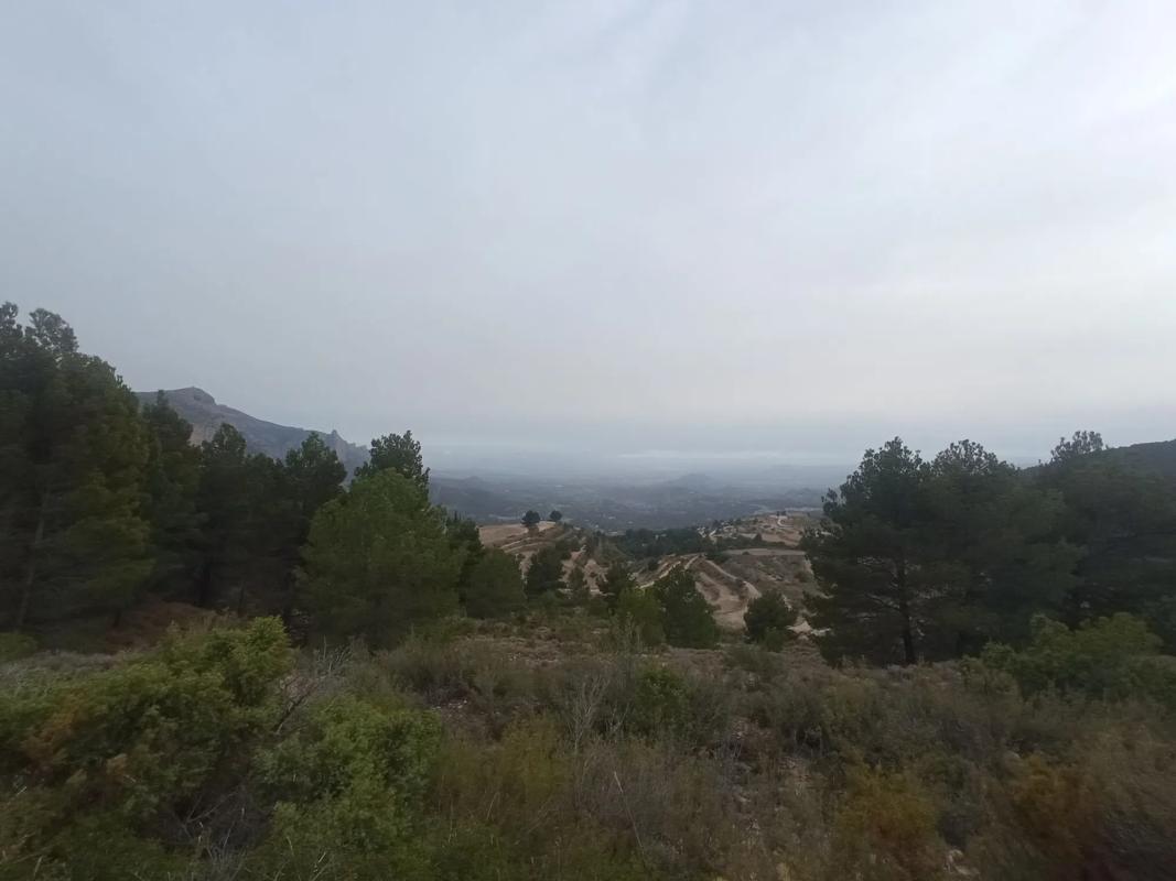 Terreno en venta en Jijona / Xixona, Alicante photo 5