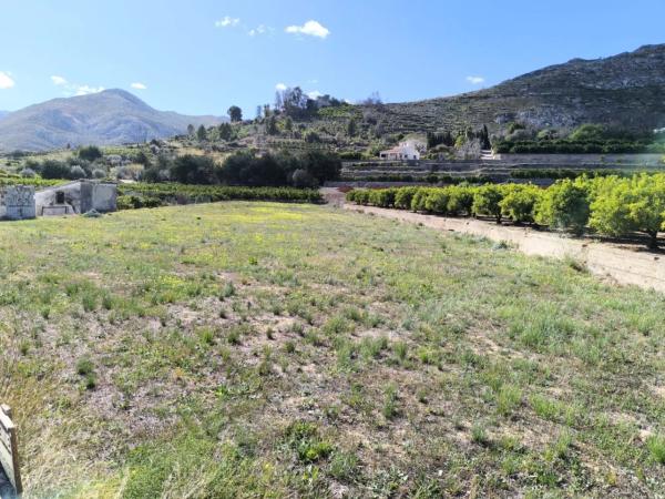 Terreno en Pego photo 2