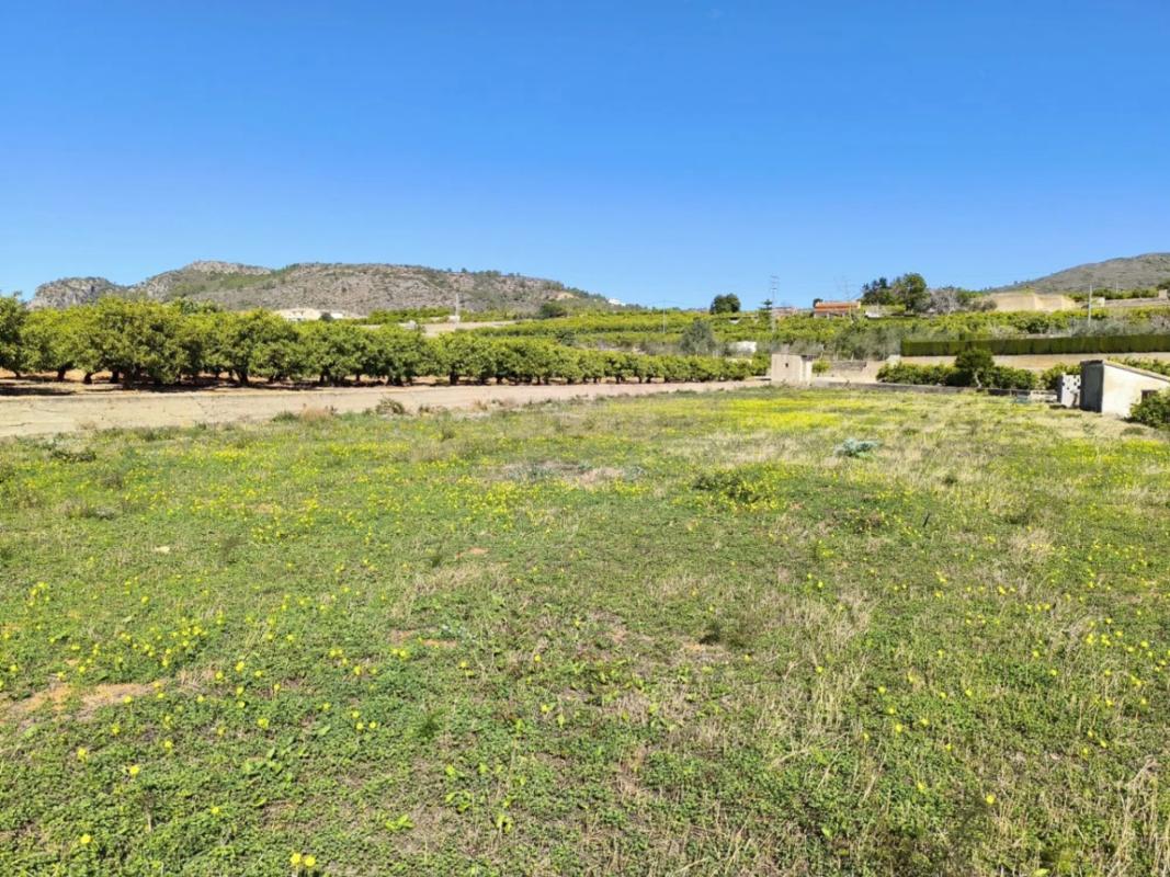 Terreno en venta en Pego, Alicante photo 3