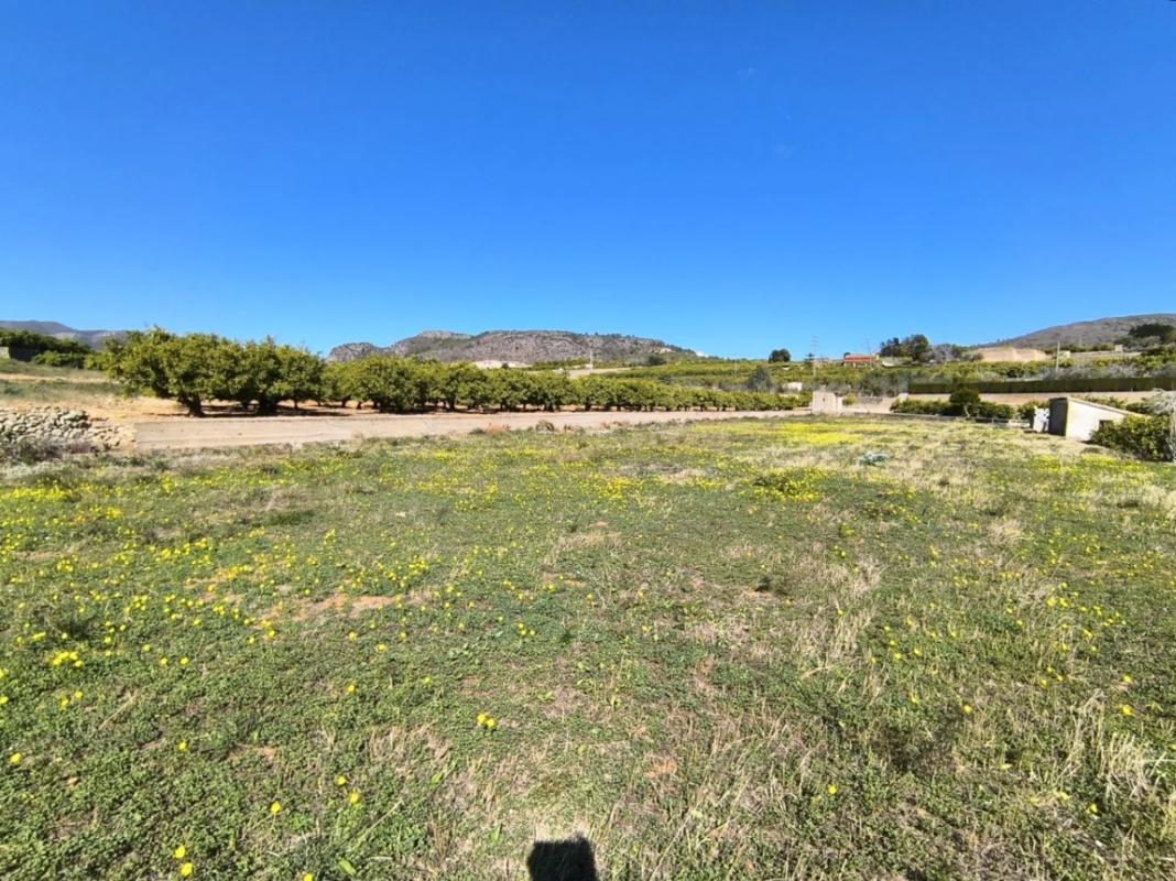 Terreno en venta en Pego, Alicante photo 4