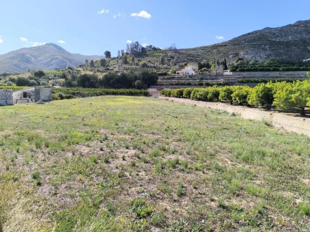 Terreno en venta en Pego, Alicante photo 5