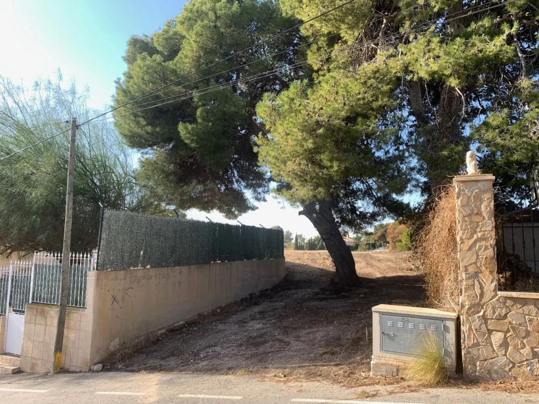 Terreno en venta en Elche / Elx, Alicante photo 2
