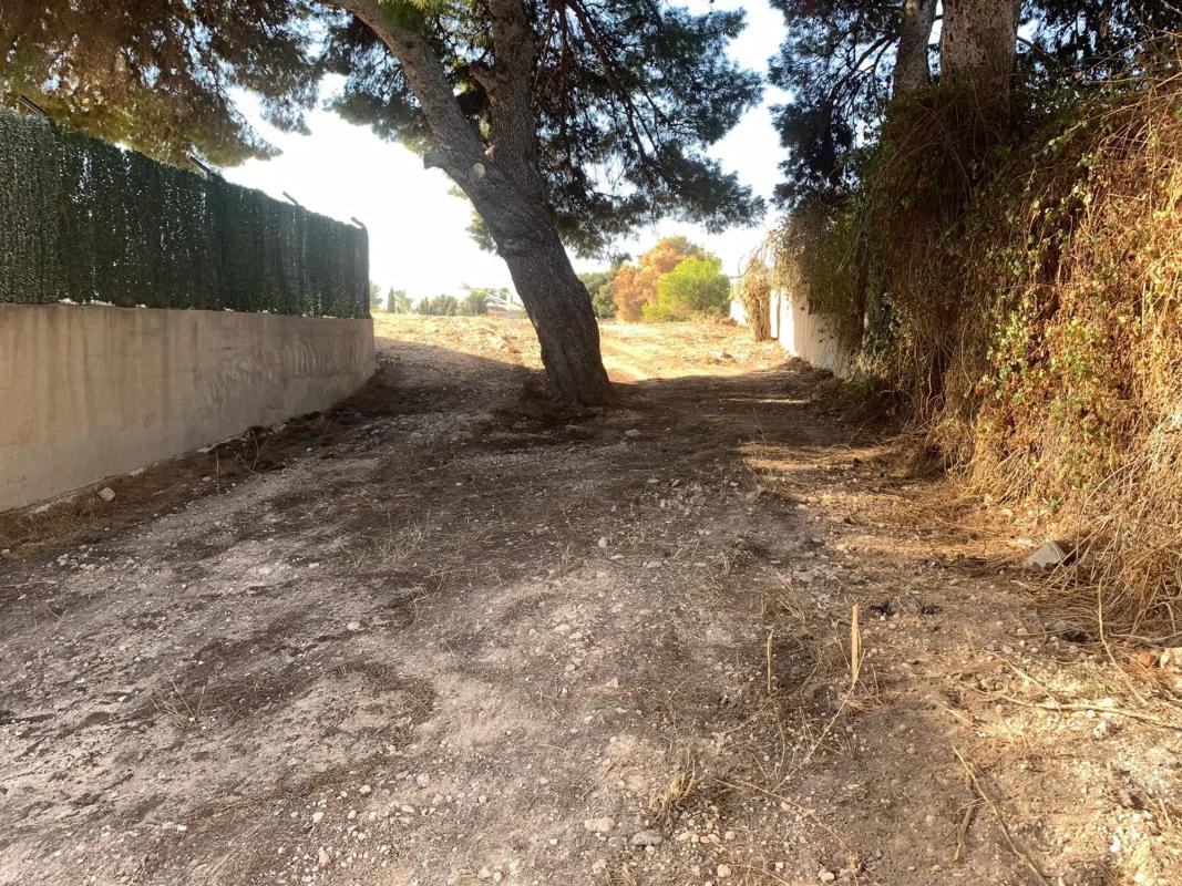 Terreno en venta en Elche / Elx, Alicante photo 3