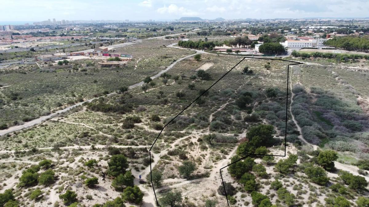 Terreno en venta en El Campello, Alicante photo 4