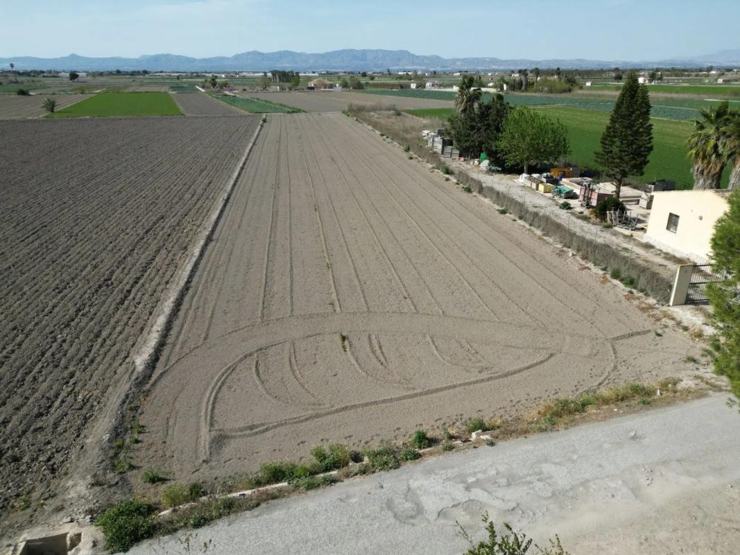 Land for sale in San Fulgencio, Alicante photo 1