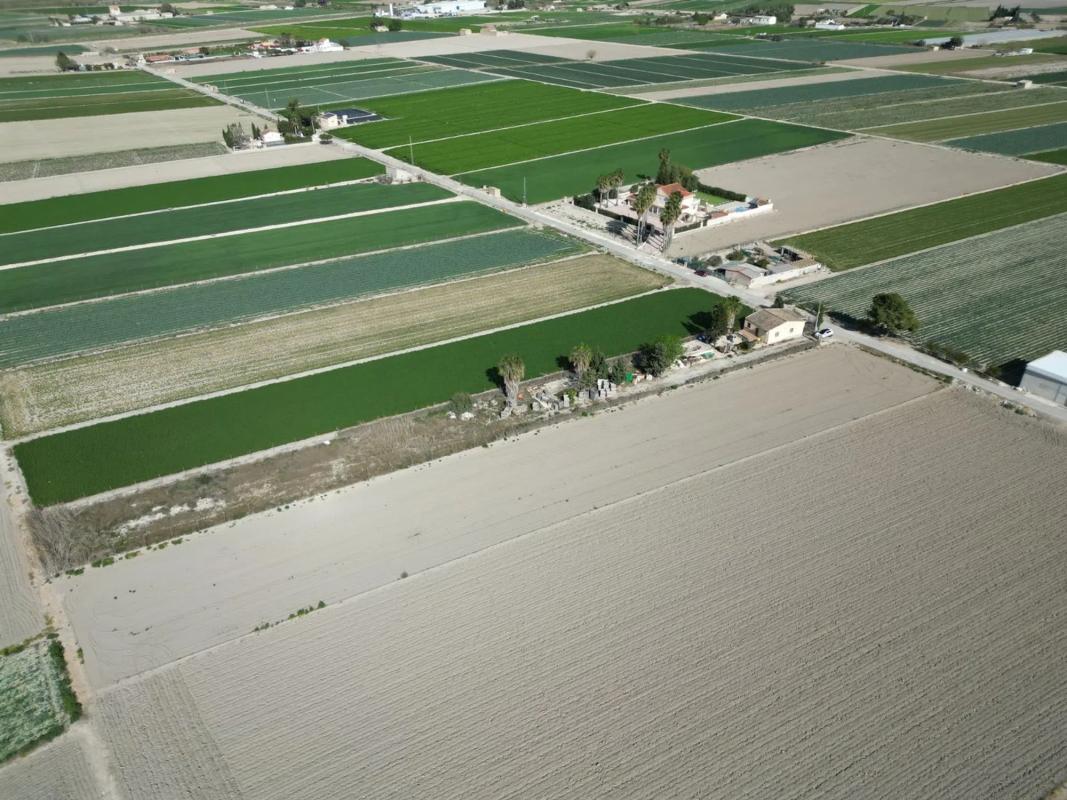 Land for sale in San Fulgencio, Alicante photo 2
