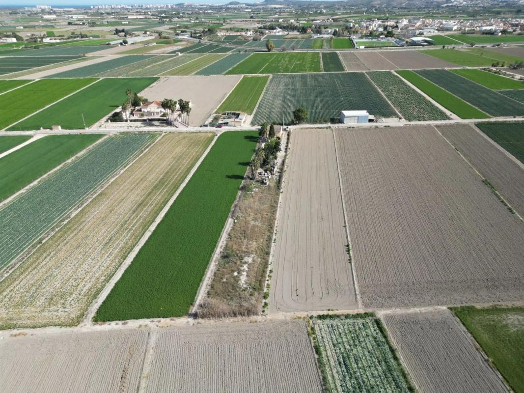 Land for sale in San Fulgencio, Alicante photo 3