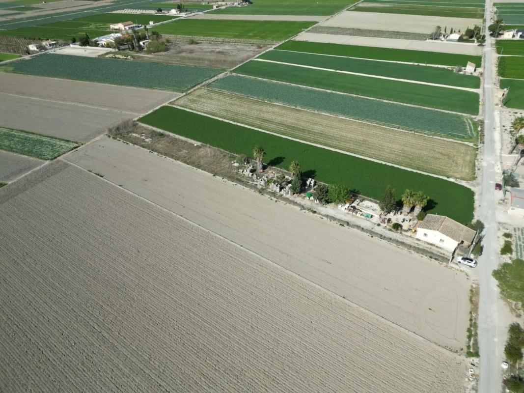 Land for sale in San Fulgencio, Alicante photo 4
