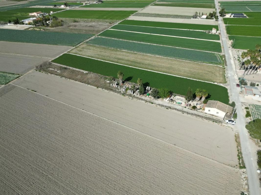 Land for sale in San Fulgencio, Alicante photo 5