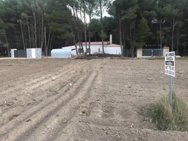 Terreno en Partida las Chozas photo 1