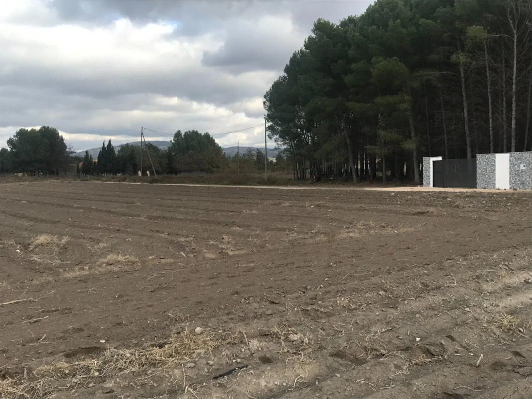 Działka na sprzedaż w Villena, Alicante photo 3