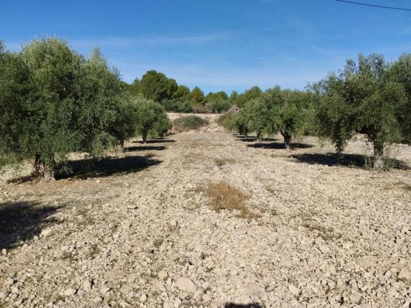 Terreno en calle Treballadores, 93 thumbnail 2