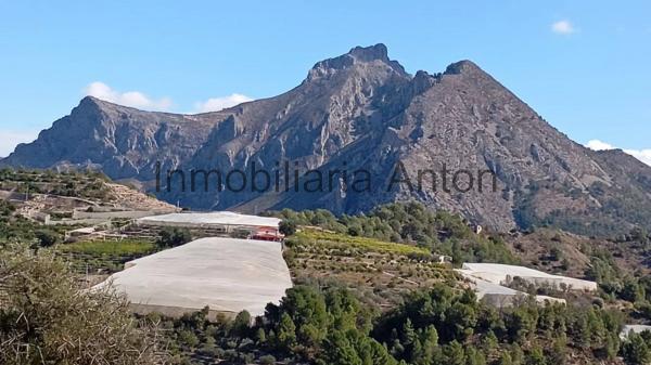 Terreno en Callosa d'En Sarria thumbnail 2