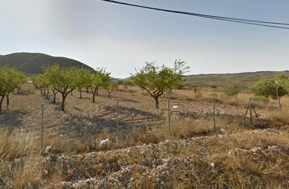 Land for sale in Orihuela, Alicante photo 1