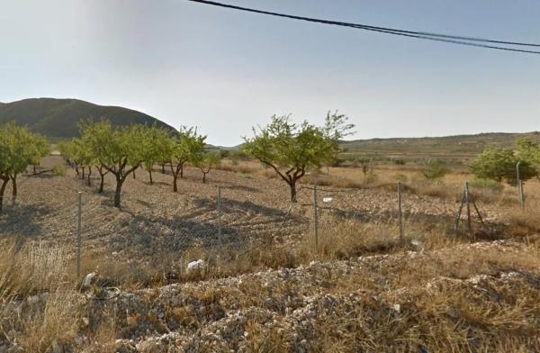 Terreno en La Murada-Los Vicentes photo 1