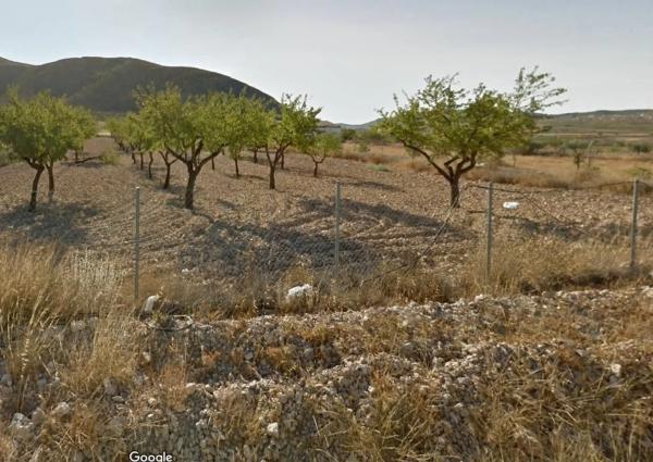 Terreno en La Murada-Los Vicentes photo 2