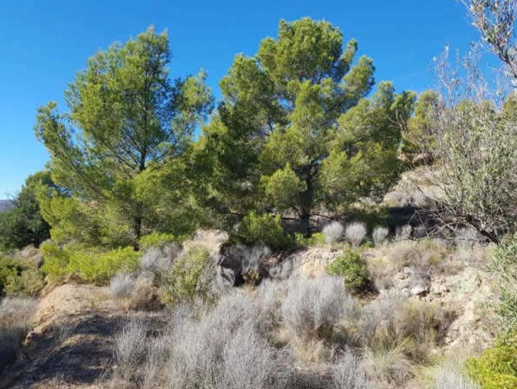 Land for sale in Finestrat, Alicante photo 1