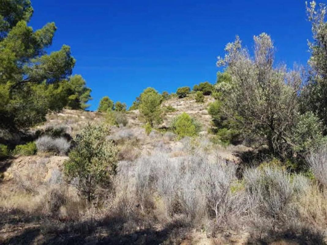 Land for sale in Finestrat, Alicante photo 2