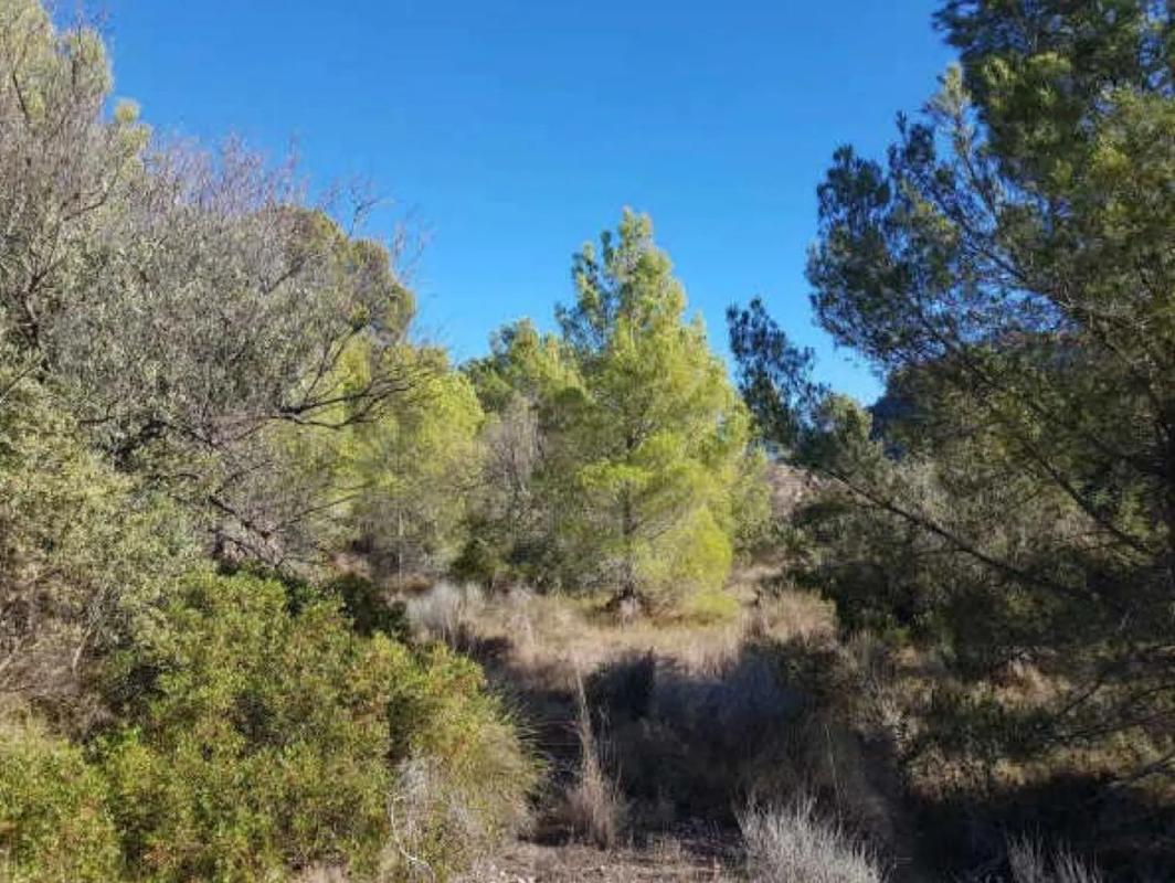 Land for sale in Finestrat, Alicante photo 3