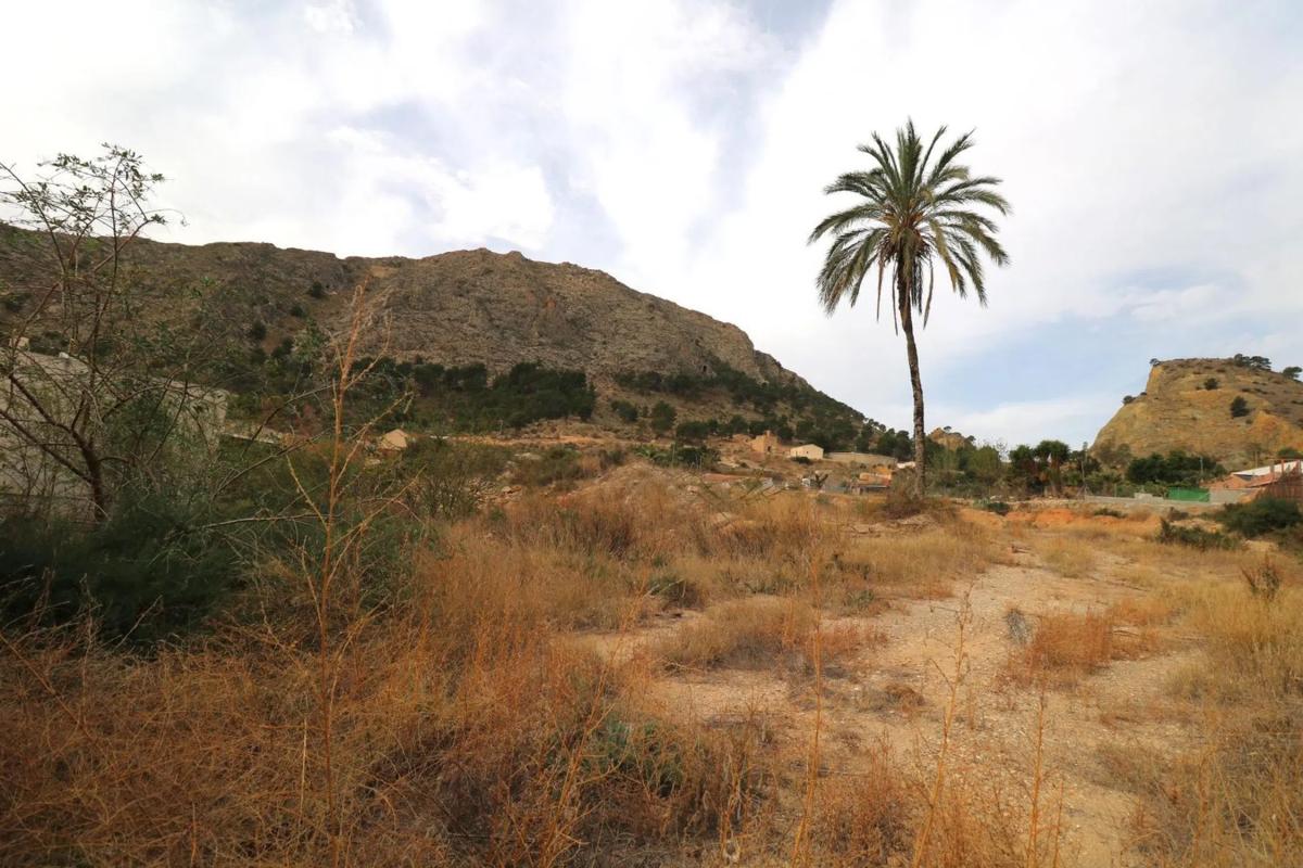 Land for sale in Orihuela, Alicante photo 2