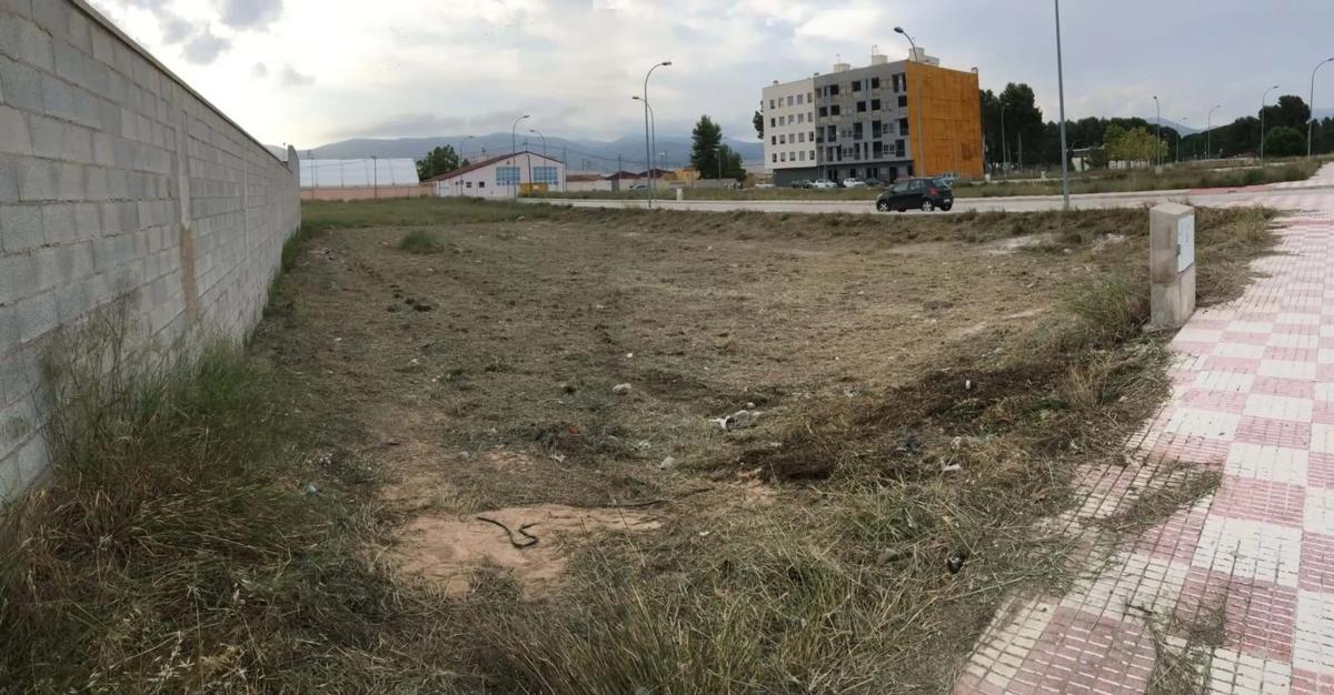 Land for sale in Castalla, Alicante photo 5