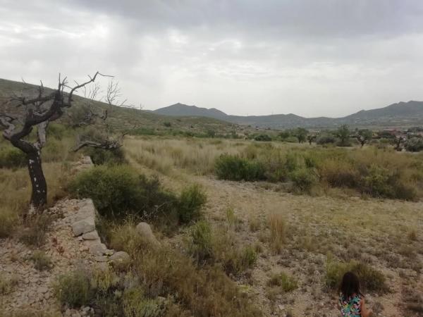 Terreno en Hondón de los Frailes photo 1