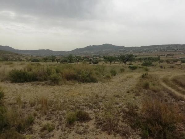 Terreno en Hondón de los Frailes photo 3
