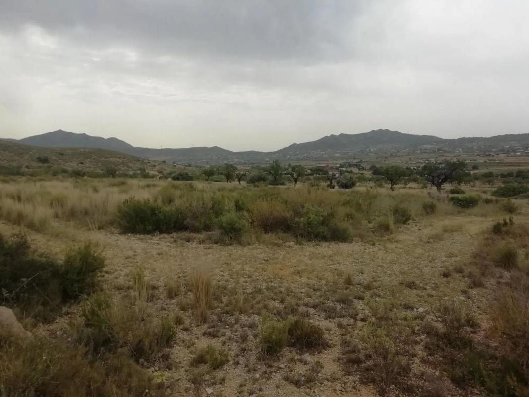 Land for sale in Hondón de los Frailes, Alicante photo 4
