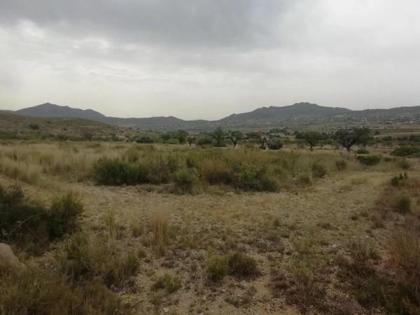 Terreno en Hondón de los Frailes photo 4