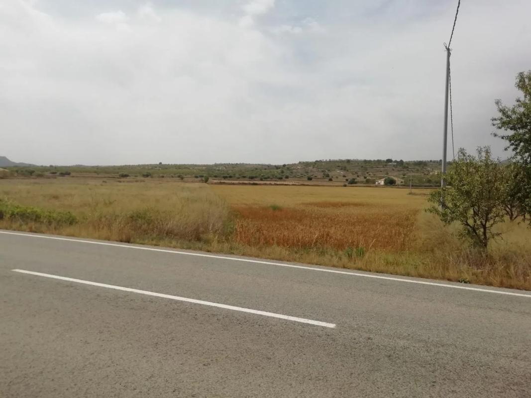 Terreno en venta en Orihuela, Alicante photo 1