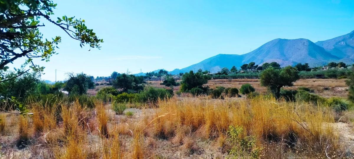 Land for sale in Aigües, Alicante photo 1