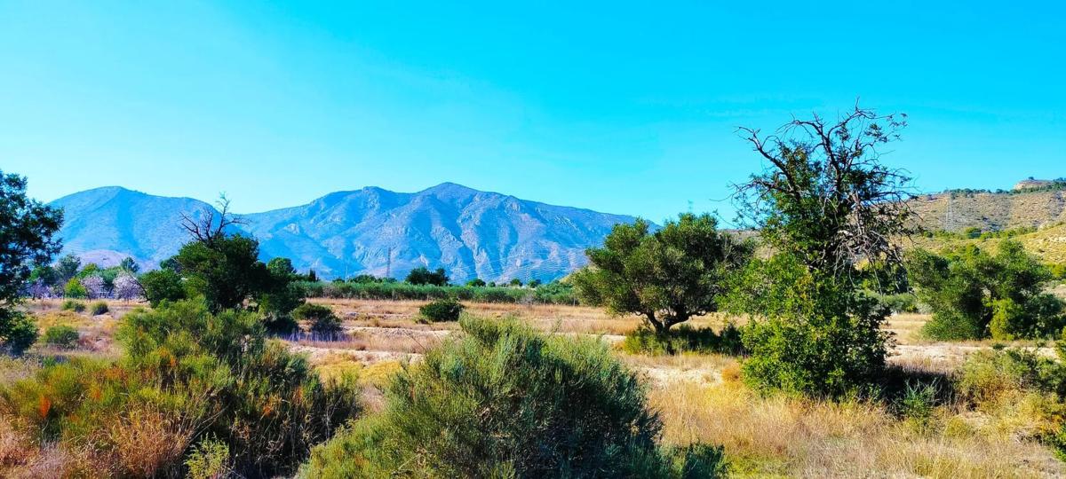 Land for sale in Aigües, Alicante photo 2