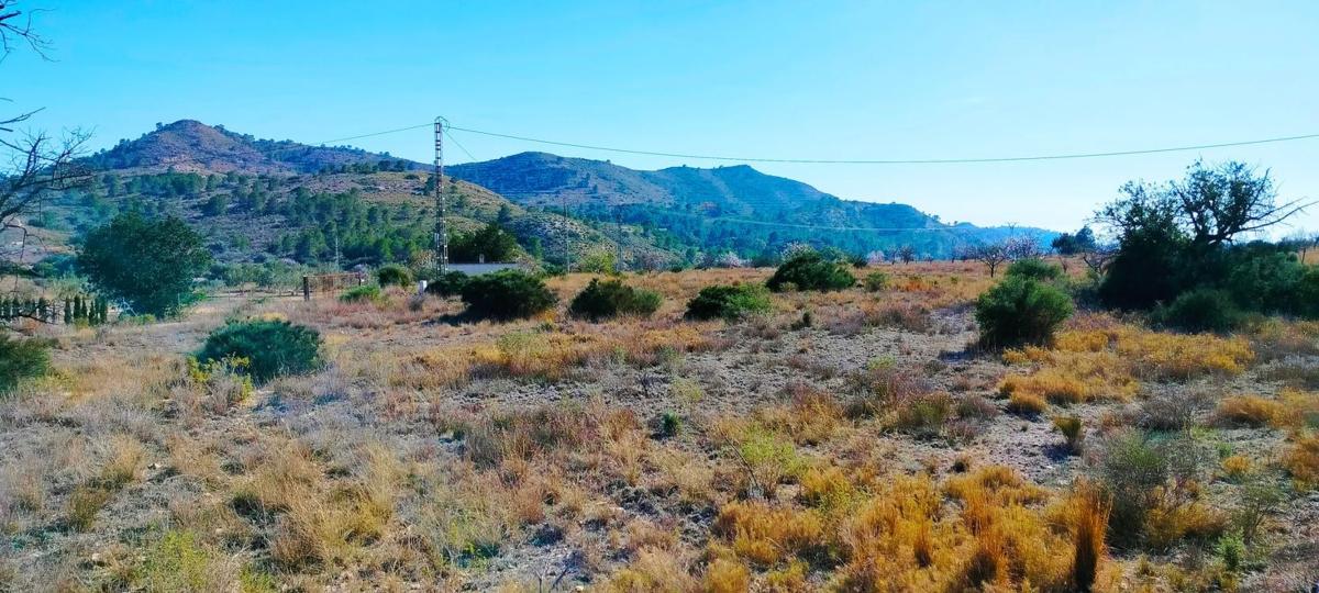 Land for sale in Aigües, Alicante photo 4