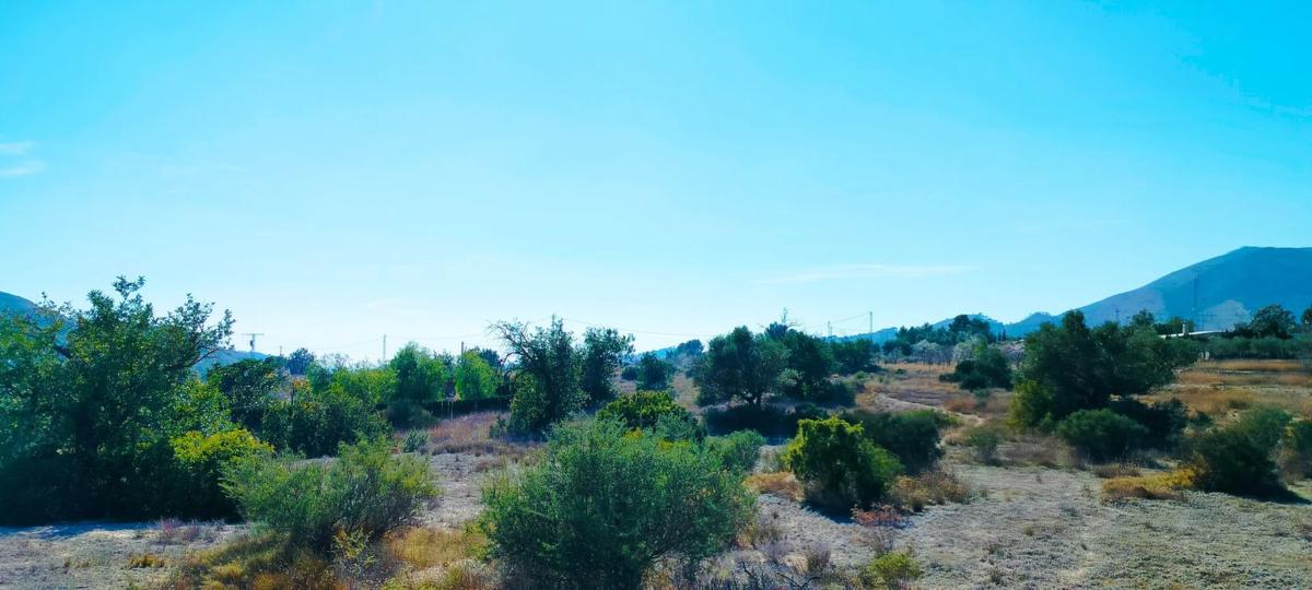 Land for sale in Aigües, Alicante photo 5