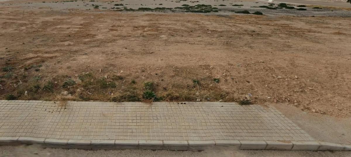 Land for sale in Novelda, Alicante photo 1