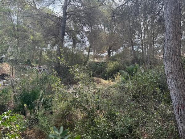Terreno en calle de Roncadell s/n thumbnail 1