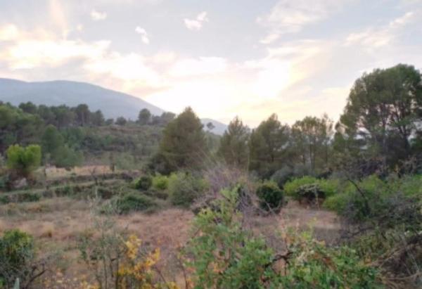 Terreno en Arenal s/n photo 4