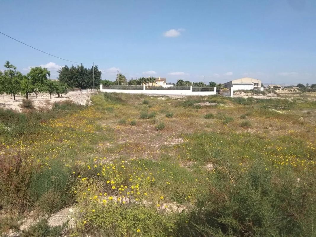 Terreno en venta en Elche / Elx, Alicante photo 1